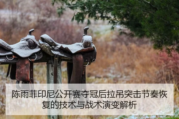 chen-yu-fei-yin-ni-gong-kai-sai-duo-guan-hou-la-diao-tu-ji-jie-zou-hui-fu-de-ji-shu-yu-zhan-shu-yan-bian-jie-xi-2-949.jpg