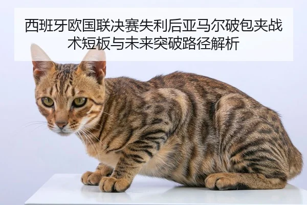 西班牙欧国联决赛失利后亚马尔破包夹战术短板与未来突破路径解析